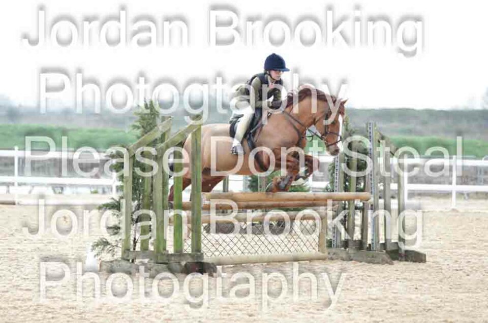 UK Ponies & Horses Saturday 18.03.2023